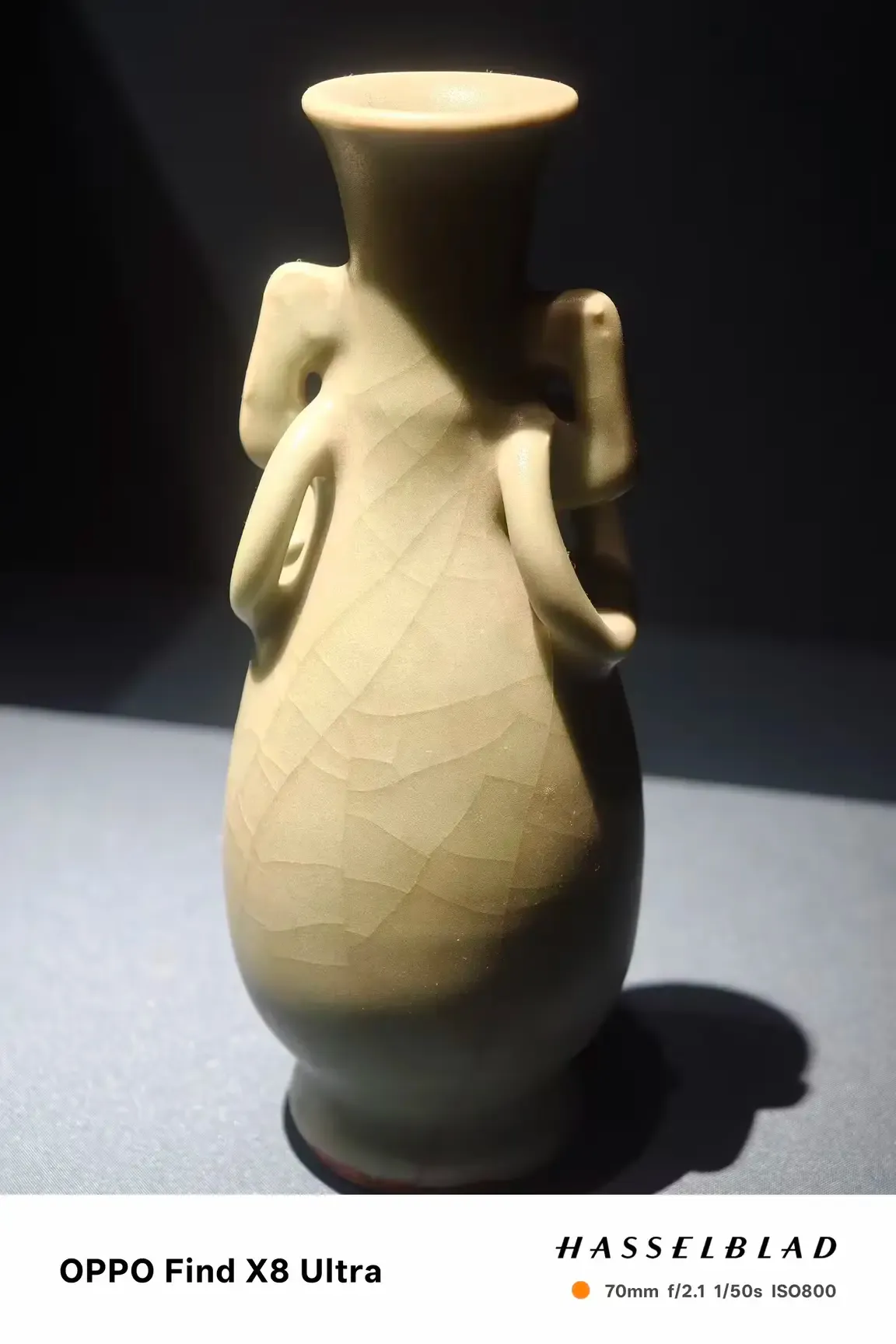 质地细腻的叶脉纹瓶子