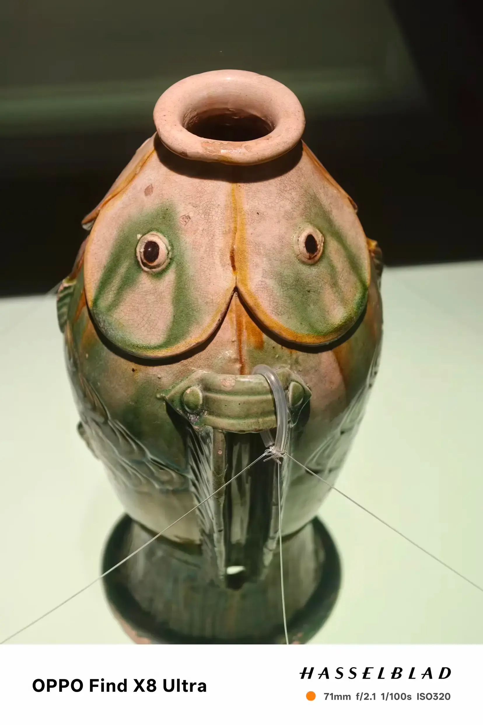 鱼，嘴好大